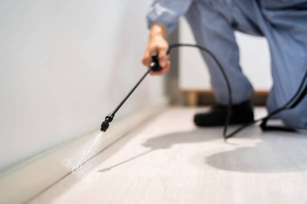 Bed Bug Pre-Treatment Preparation Assessment in Harrisville