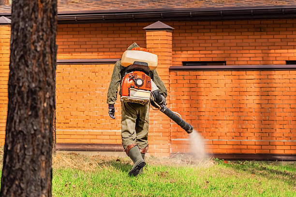 Bed Bug Clearance Verification and Documentation in Harrisville